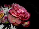 by Sharon Henson