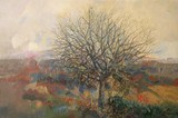 by Caballero Salguero