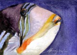 by Mandie Valin