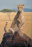 by Dan Mills