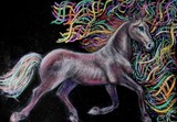 by elizabeth clausen