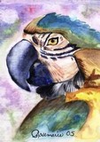by rosemarie giordano