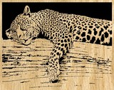 by Mike Williams