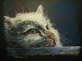 by riccardo Antonelli 