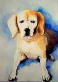 by meagan alwood-karcic