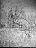 by Cindy Swinehart
