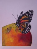 by jen gibson