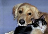 by linda lindall