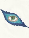 by Evyn Lindquist