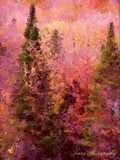 by Jill Davis