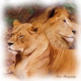by Jill Davis