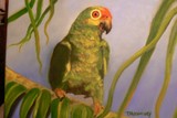 by Tricia Hennessey
