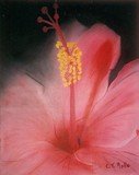 by Colette Rolle