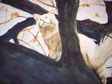 by andreia medlin