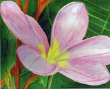 by Tracy Butland Bartczak