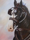 by Marion Dutton