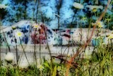by pete vandervelde