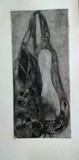 by Jennie Hord