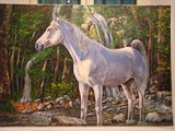 by nikos konstantinou