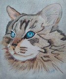 by Vivian Feltz
