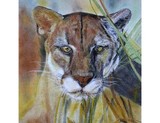 by David M Scott