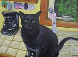 by Sarah Goodrich