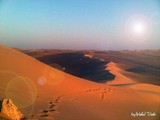 by walid diab