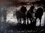 by CATALIN SOARE
