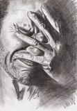 by Ratko Torma