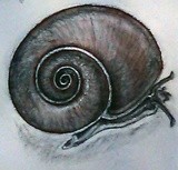 by Dana Koffenberger