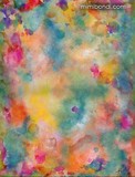 by Mimi Bondi