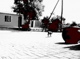 by Nhlanhla Khuzwayo