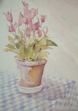 by Bridget Hyler