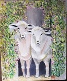 by Pat  Mayfield 