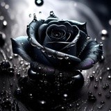 by Mihaela B