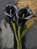 by Mihaela B