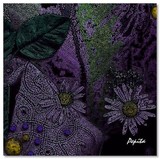 by Pepita Selles