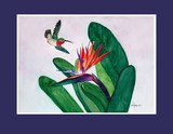 by Nancy Woolweber