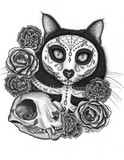 by Carrie Hawks