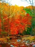 by Rick praskac