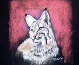 by Anne Kelty
