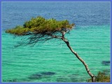 by Yiannis Papadimitriou