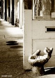 by Randy McCullough