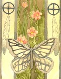 by Amanda Robison