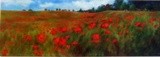 by jennifer blenkinsopp