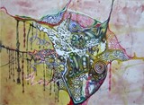 by Norma Nava