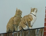 by Belinda Matthews