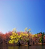 by Catherine Somerlot