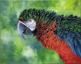 by Svetlana Ledneva-Schukina