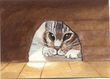 by Sherry Melberg